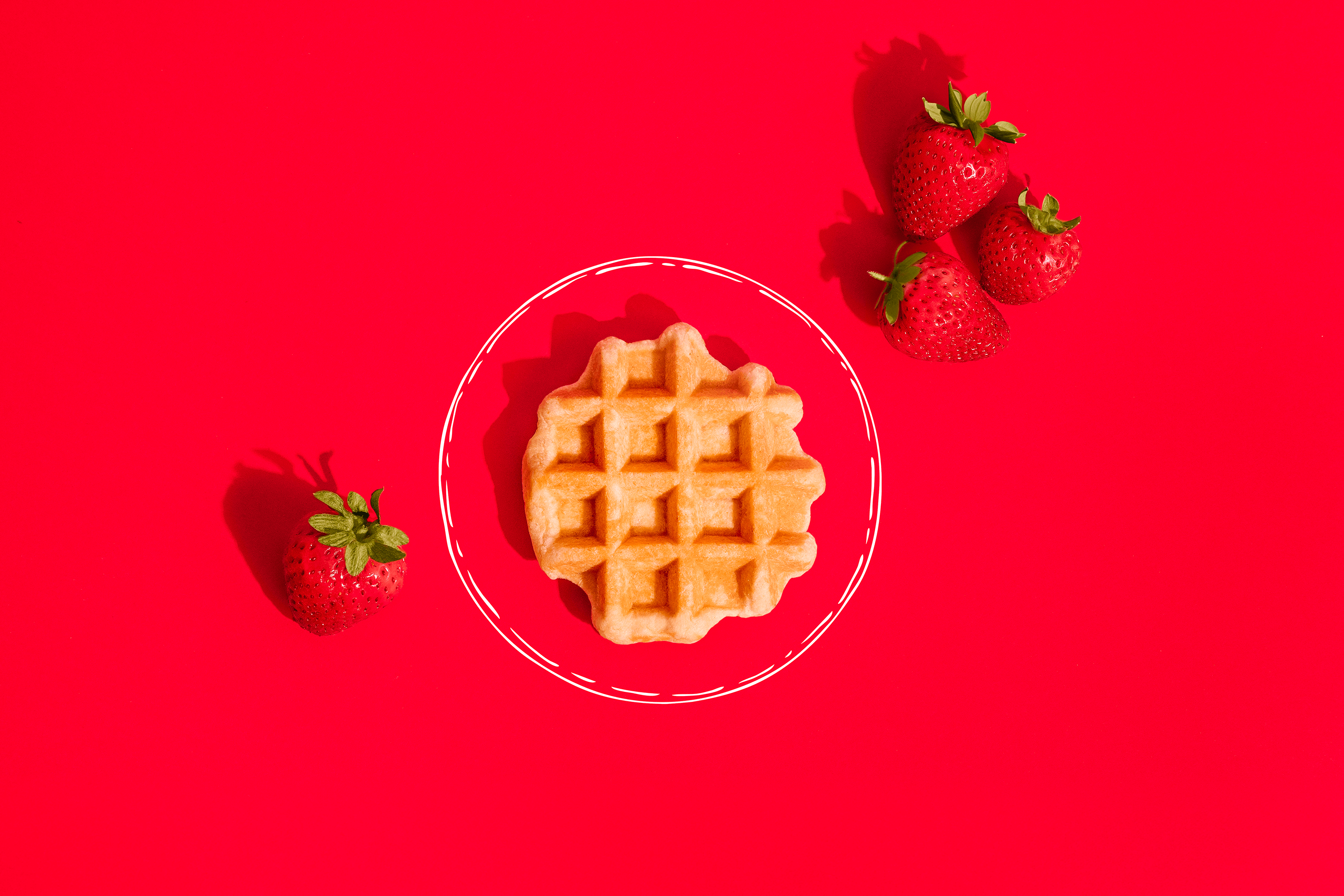 Photo en lien avec le texte